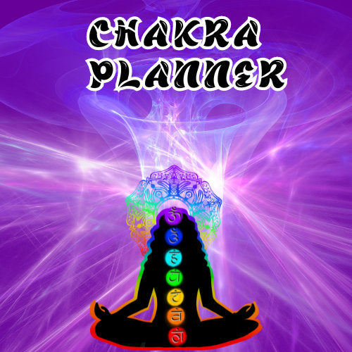CHAKRA HEALING WORKBOOK /PLANNER